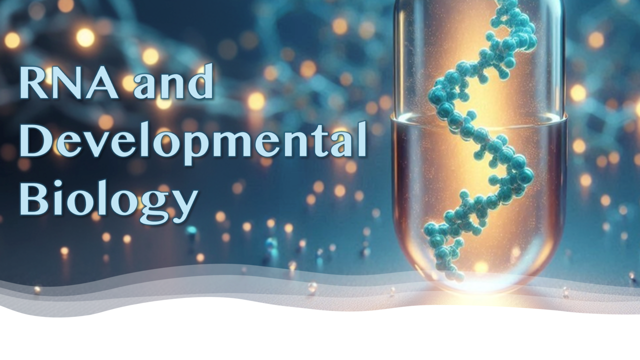 RNA and Developmental Biology